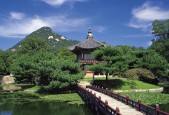2026 全球马拉松赛季：波士顿、伦敦、芝加哥大满贯报名指南。，马拉松世界赛事