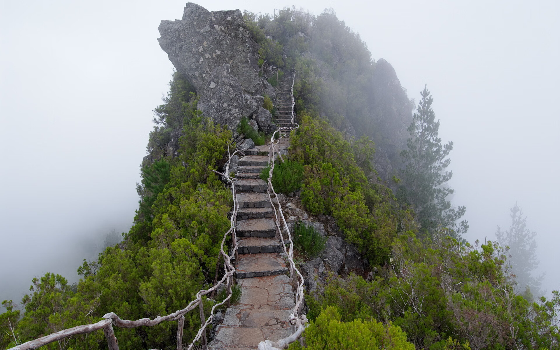 世界短道速滑赛季规划:选手出场频率与状态维护,短道速滑世界锦标赛